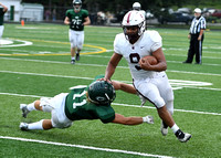 8-25-23 Galax at Glenvar